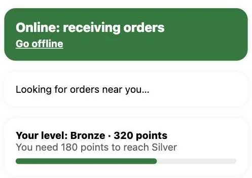 “Your level” card in the driver app with the level, points, how many points to the next level, and the progress bar in green.